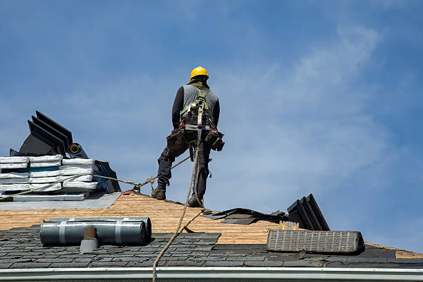Professional Storm Damage Roof Repair technician working in Linden, TN